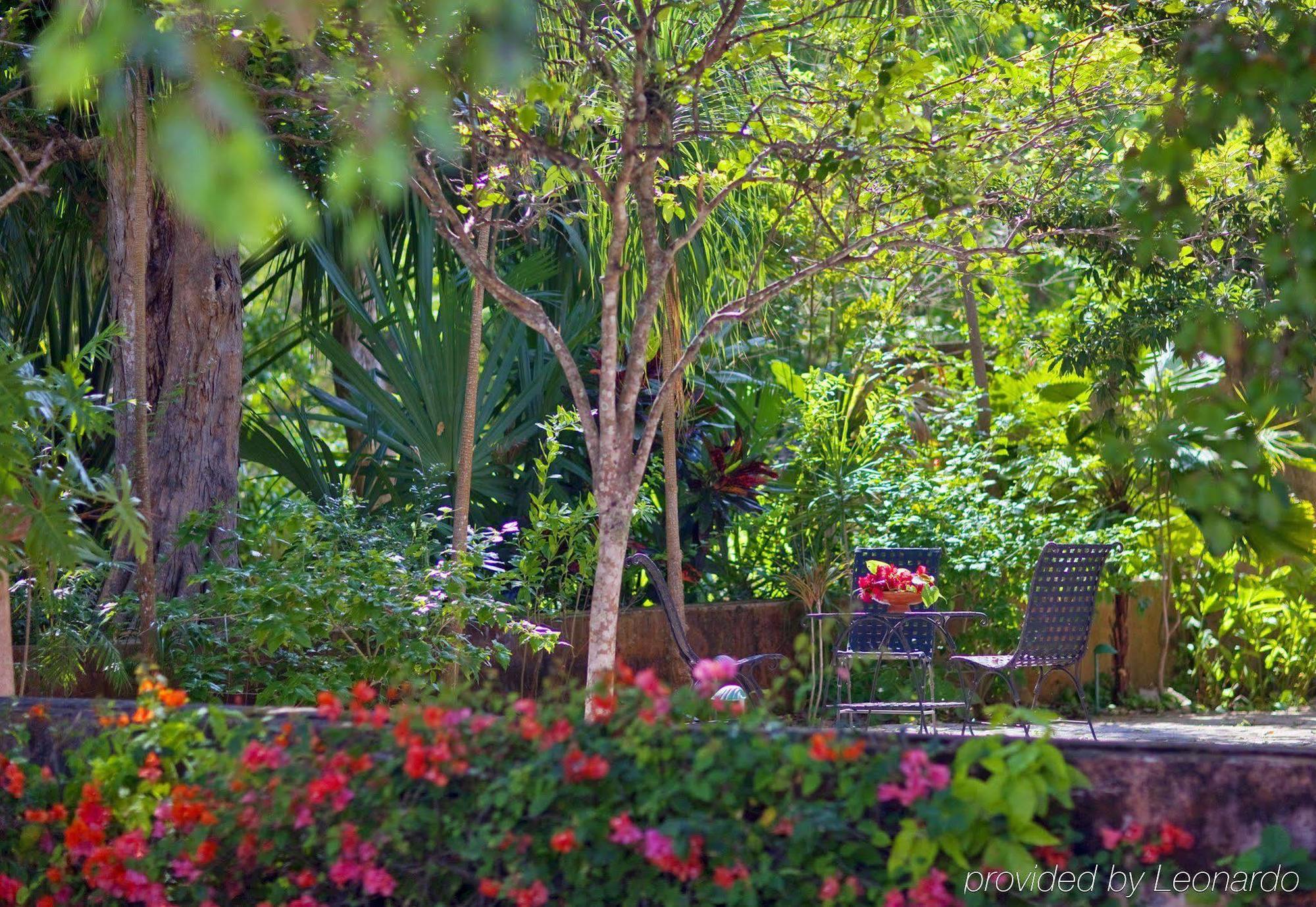 Hacienda Santa Rosa De Lima Hotel Exterior foto